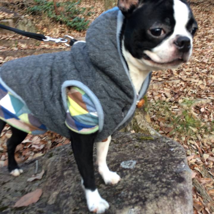 29fa08b6 8d45 4c3a 8b9e 457b209d9584