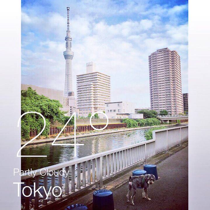 29fa5b61 04b5 4319 9f21 615dbed1dfdd