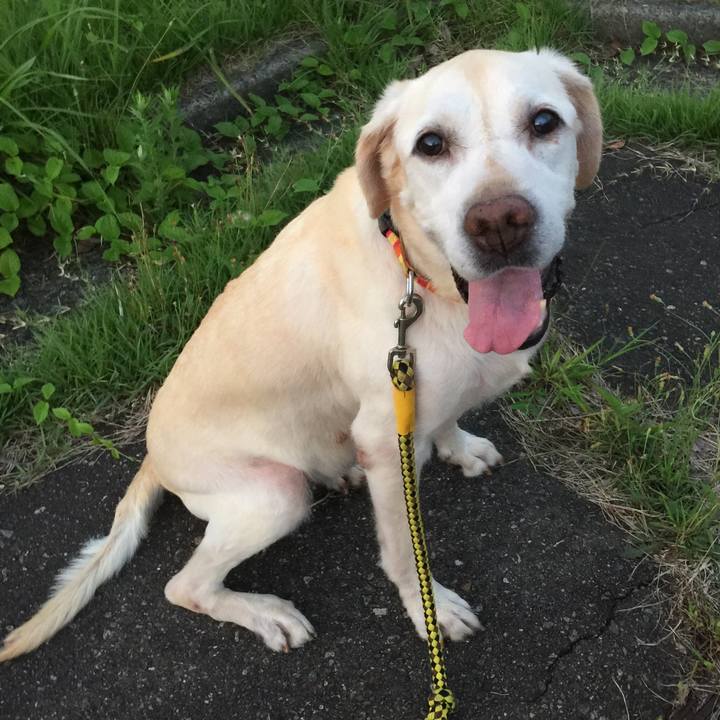 29fb1187 affd 4451 adce c7b77c3dc980