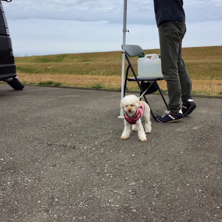 29fbc43c 8ffc 4636 b8a6 857fe4b403bd