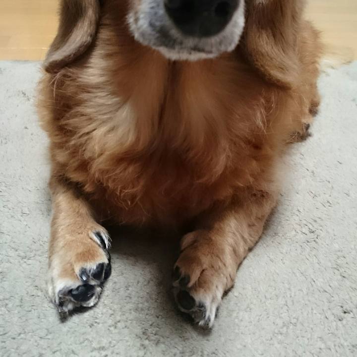 29fc90cc 9906 4245 bccb 97fb89317015