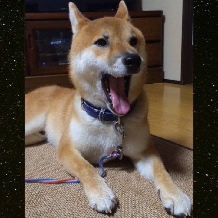 29fd218d 5ca2 42d3 9723 d250f9443b3f