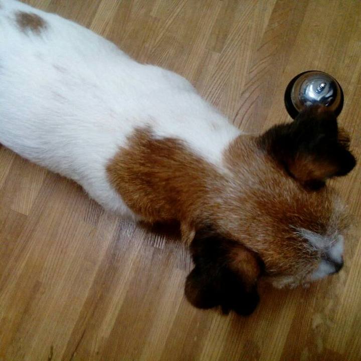 29fd891d a8d0 4f19 8c15 344bbca69491