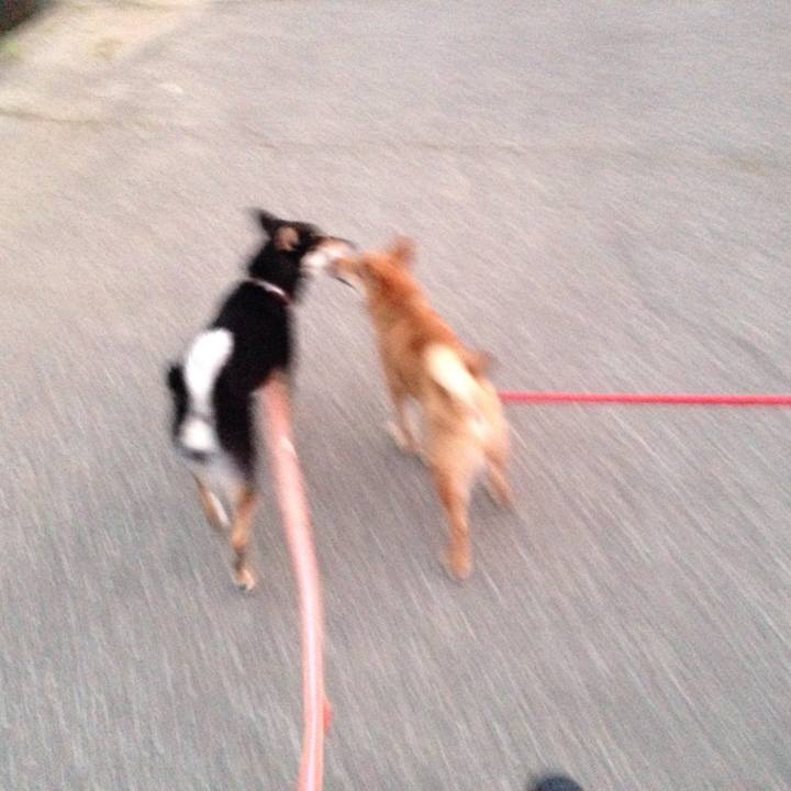 29fe4dbf 4d1b 4f95 a683 1316cf4ab23b