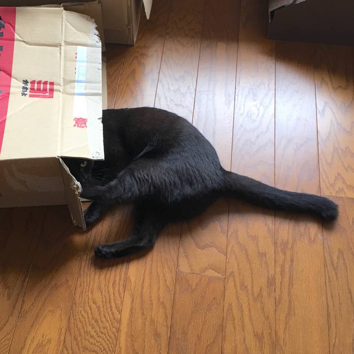 29fe73f8 fb8e 4df6 8f99 55f62dc1912a