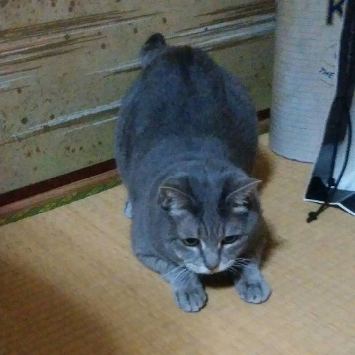 29fe7941 f509 4ca3 bcce a9cc87bd0860