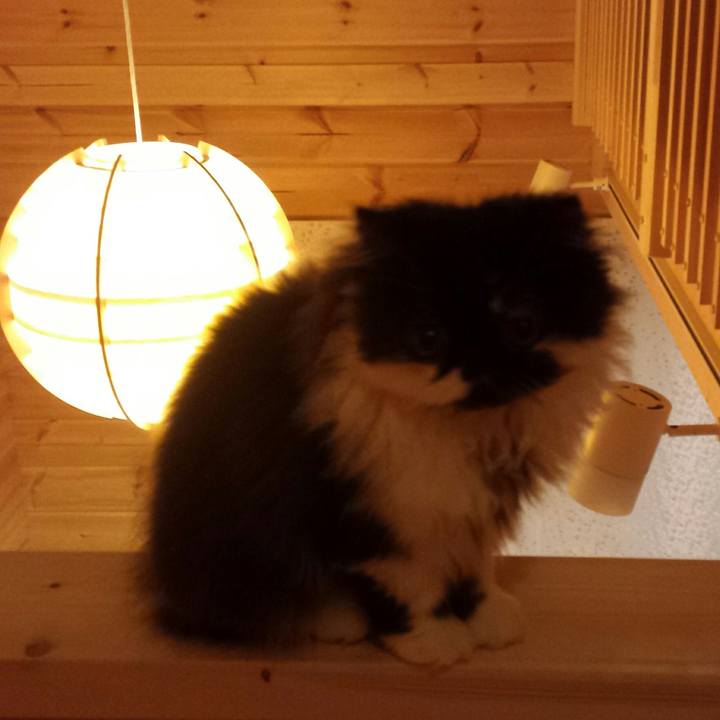 29fea9e9 c25c 42e1 aa59 83d302442b3a