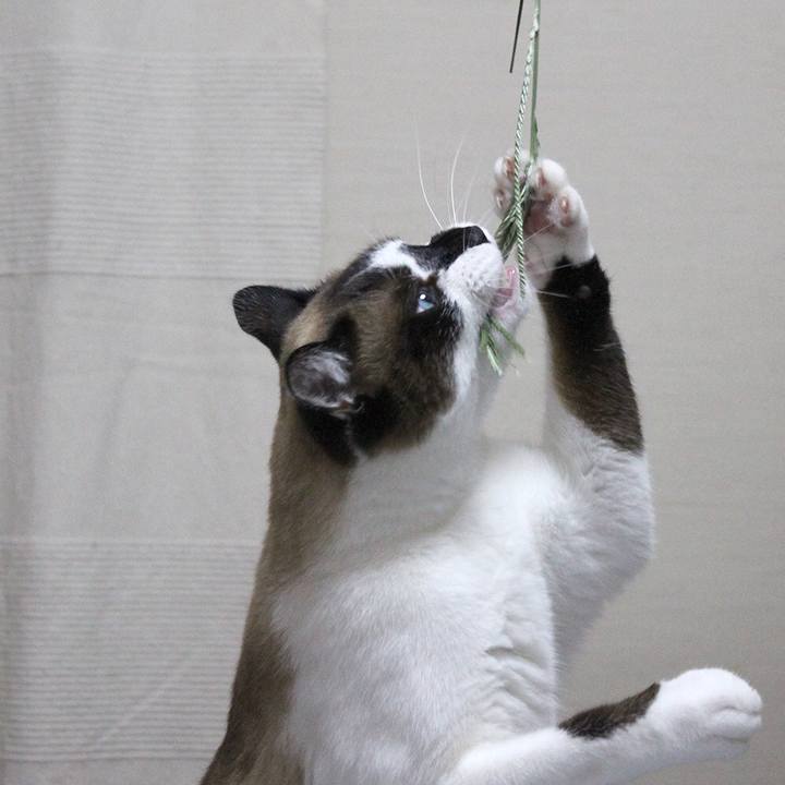 29feb0e6 9cef 4469 85fc 31e758b1f02b