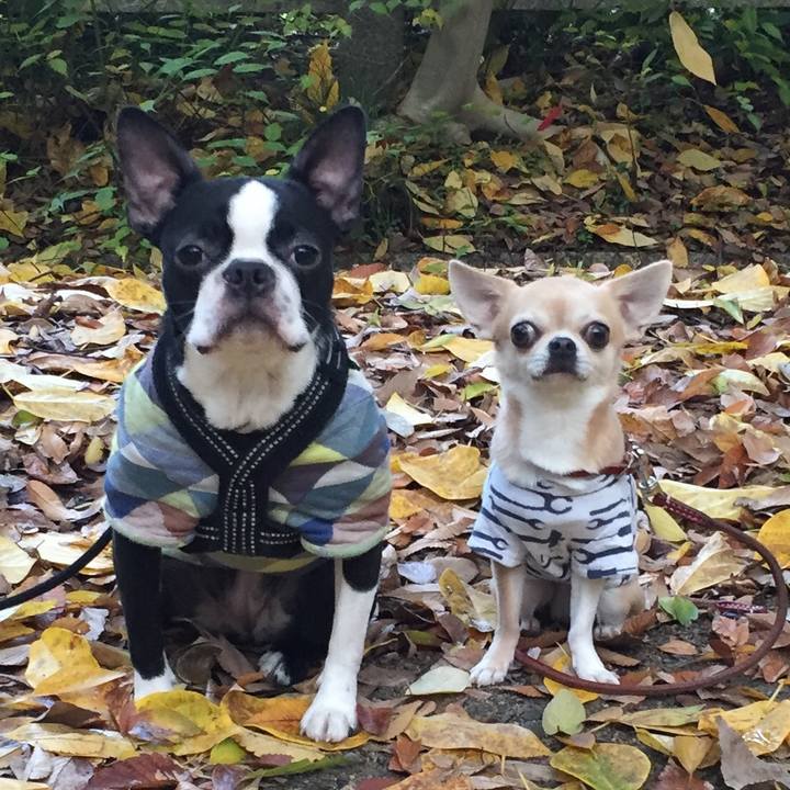 29feec1e 1e10 4395 b81e 832fe20c6154