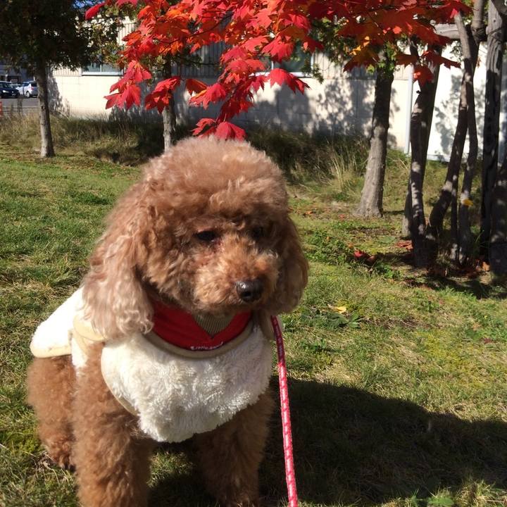 29ff5f42 9a4a 44d2 8521 3c17b5e5965b