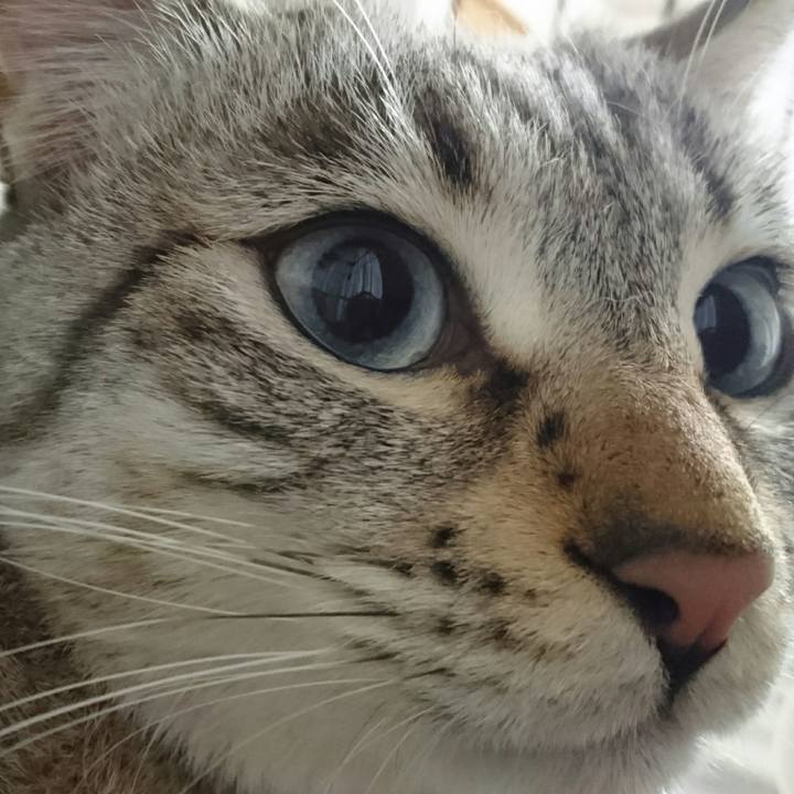 29ffad9b d58c 47e5 b8c0 4492362dcf1c