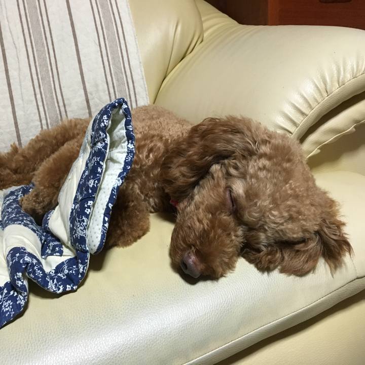 2a00a416 ac39 490d 9c61 da3d7b54adf2