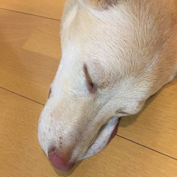 2a018f00 4768 477b 8992 9e2085b12519