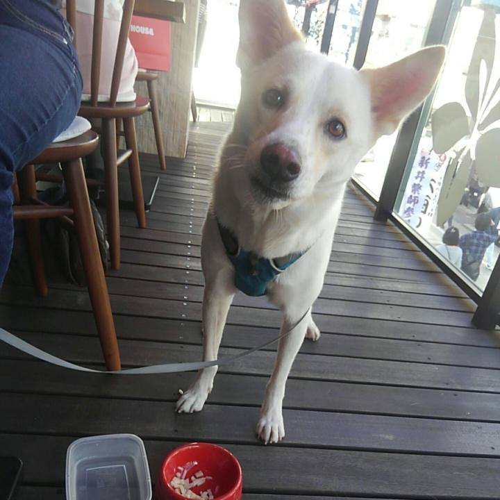 2a01dcba 31a1 4ef3 8a46 bad0ce2cb7fb