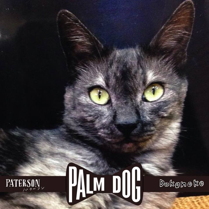 2a0220a7 e97f 4ea7 b4a8 50c29b79fc5c