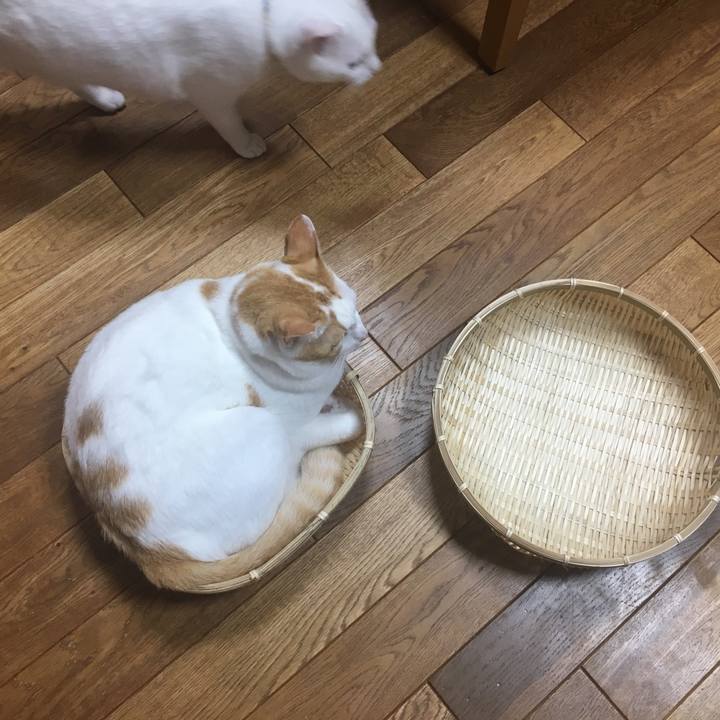 2a02ab8c b481 4b4e a388 11fac4797f58