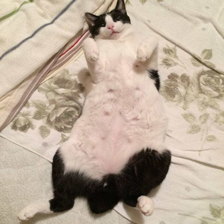 2a032027 81eb 4359 bebf 790d5489bdb8