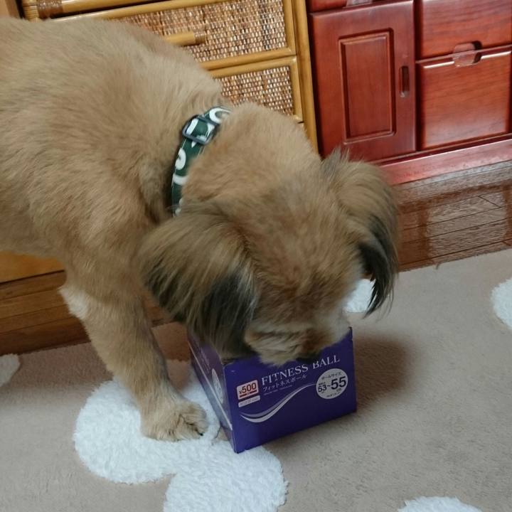 2a03dd07 aff4 4634 b0ab 731cc93e3064