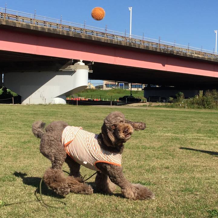 2a03ffd5 9544 403c 83e4 d11432df5cf6