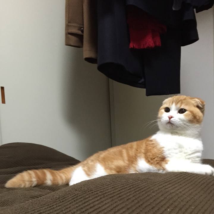 2a054e87 a042 4419 b606 73c30d9c0a84