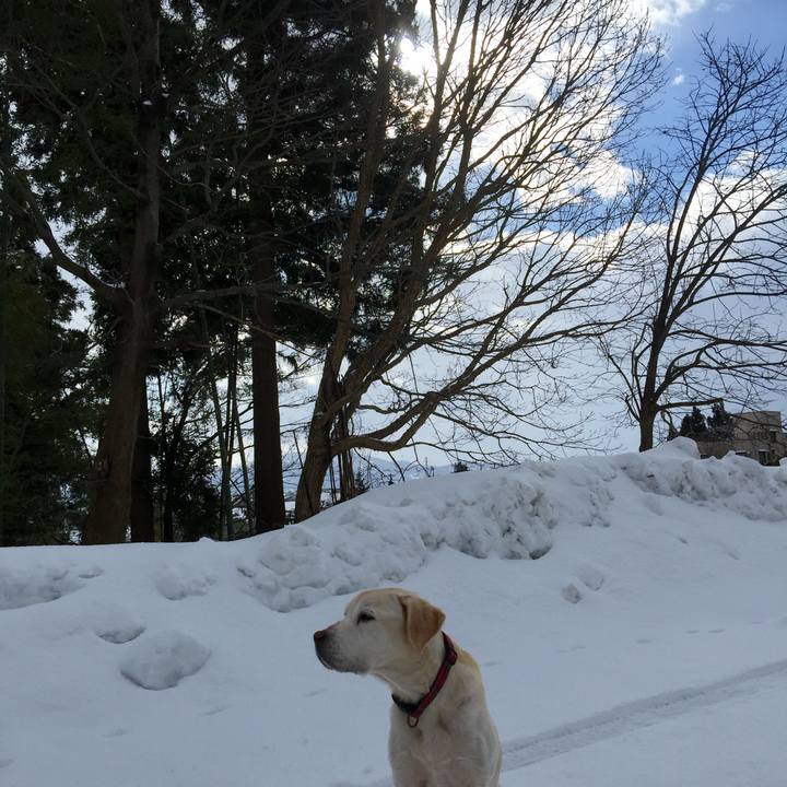 2a0574a0 3b77 4302 81fb 227ce82b652c