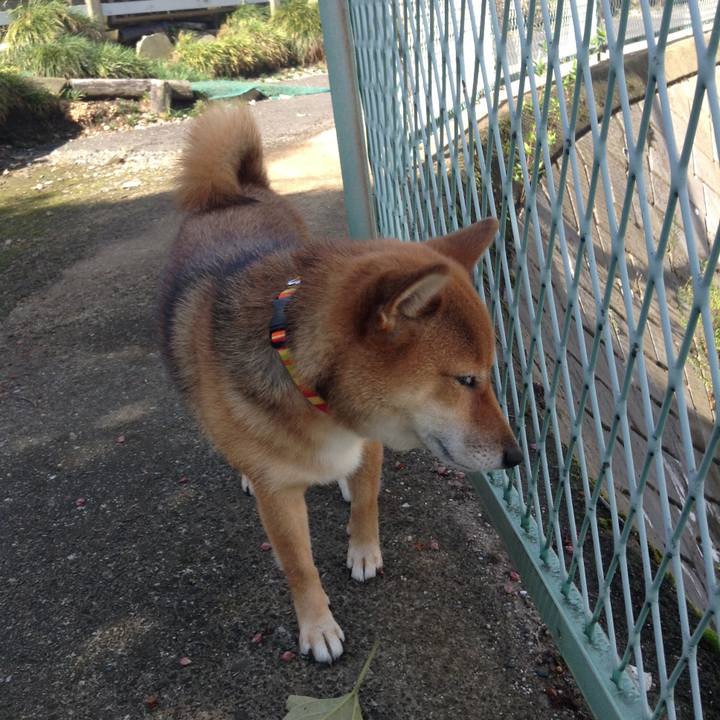 2a05a539 98d1 41bc 93cb 569a7b16a300