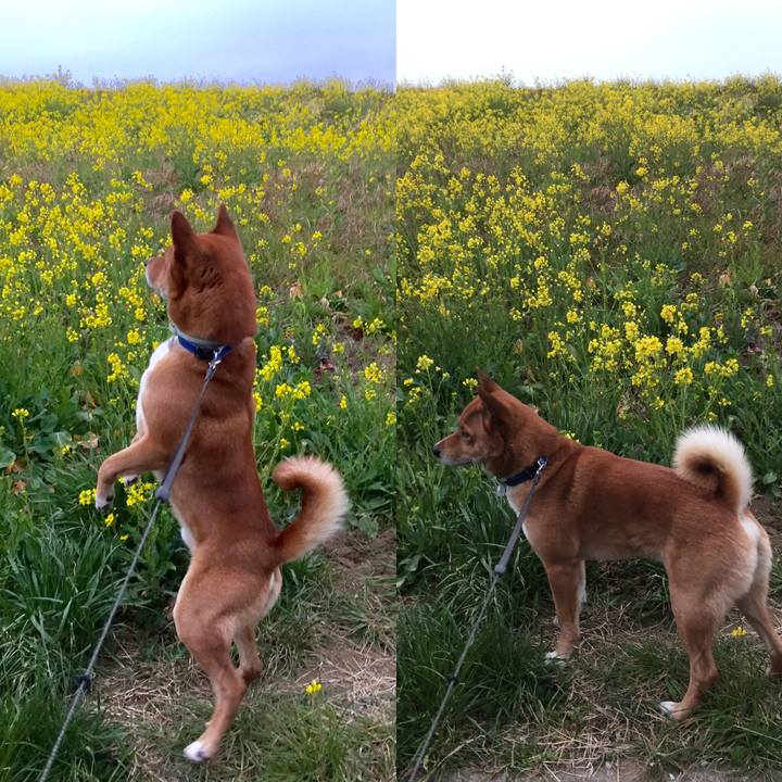 2a061a72 bc19 4eba a46d 42376d45d3d8