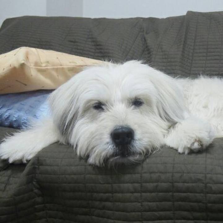 2a062723 ea2c 4b73 a6db 0068a01e718e