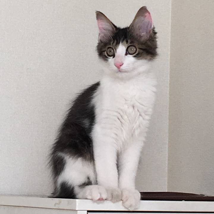 2a0628ec ea3c 4f1d ab25 46c917c6c830