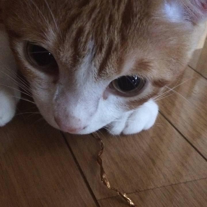 2a0784cb c3d7 473d 8b4b 7e959b756f0a