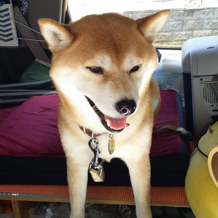 2a07e83d 4122 453c 812d a5001d410b40