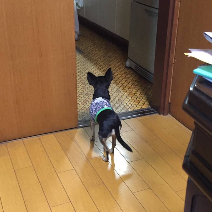 2a08119c a179 4769 b3a6 29bff7b1c7e6