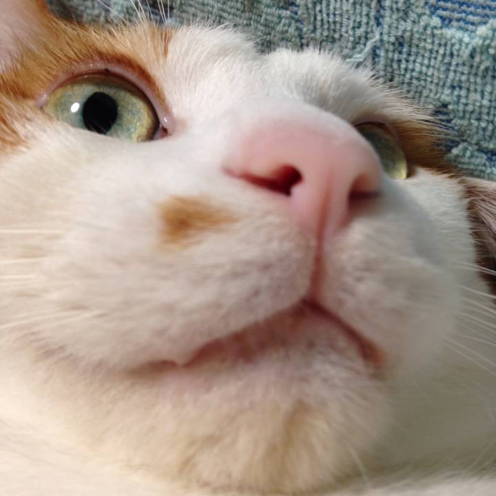 2a081676 f7b6 4577 8dac ce7bad117d3c