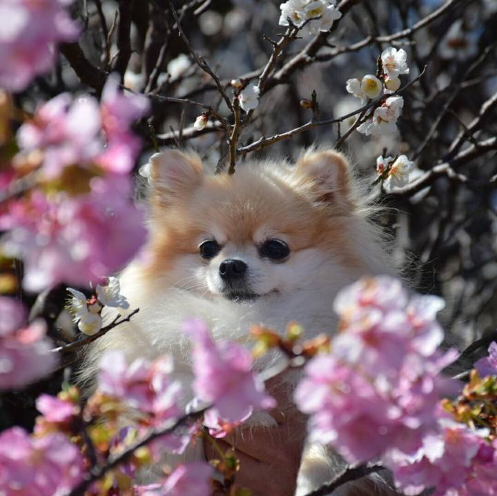 2a083fa5 b037 4f29 ae29 2ea29bf28035