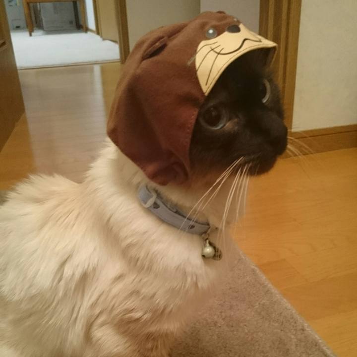 2a089a0d c4fa 4025 b672 e9b87a534023