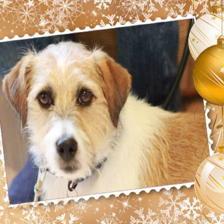 2a099d58 cc6a 4935 bf0d 5fb113101f0a