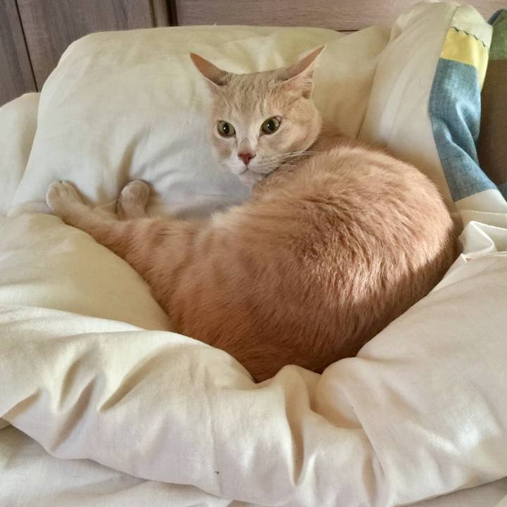 2a09eabe 5c0f 4e05 8395 136c2c9213eb