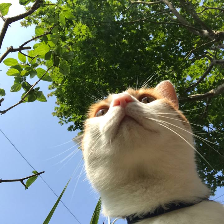 2a09f576 6142 4670 b61e a410b125e9bf