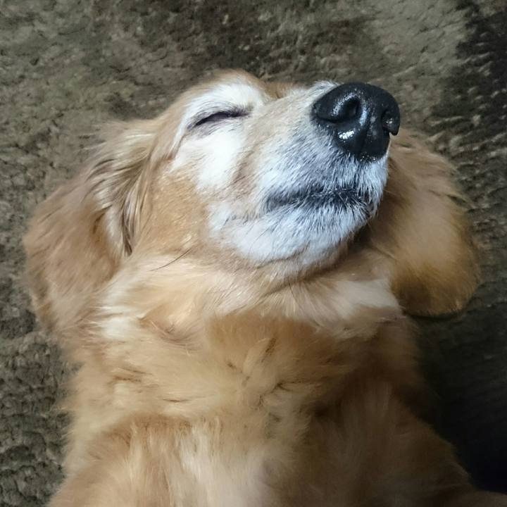 2a0a11f1 27c6 4e19 a9da 8d2e9d01cc44