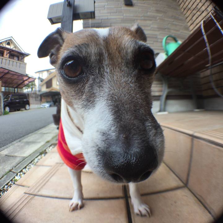 2a0a617f c728 4507 b413 ff621482e909