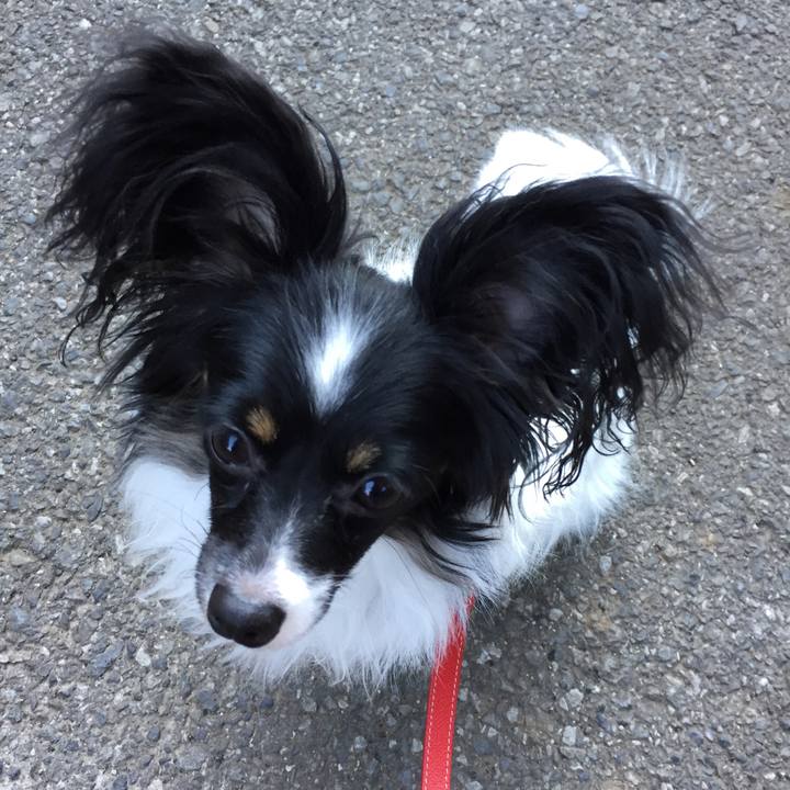 2a0b59eb ca09 4163 bf27 cd825b728215