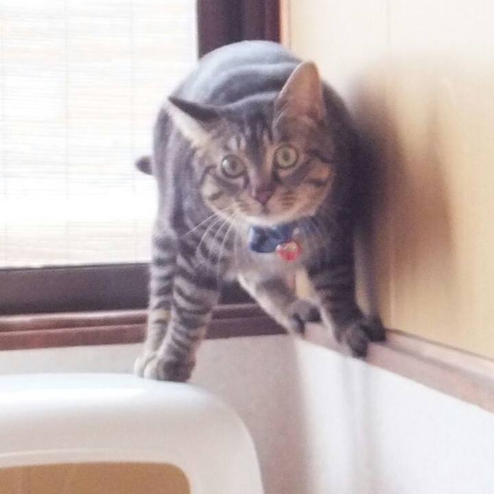 2a0b9cb2 2e47 4211 819a 8db30b4d6c12