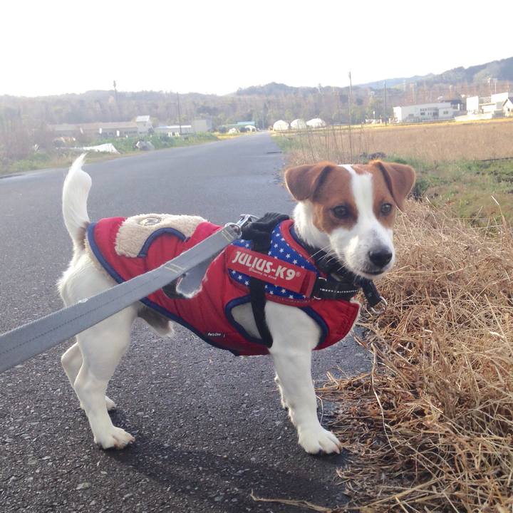 2a0bba52 26c4 424b 8e7f dd7f2c22ea9a