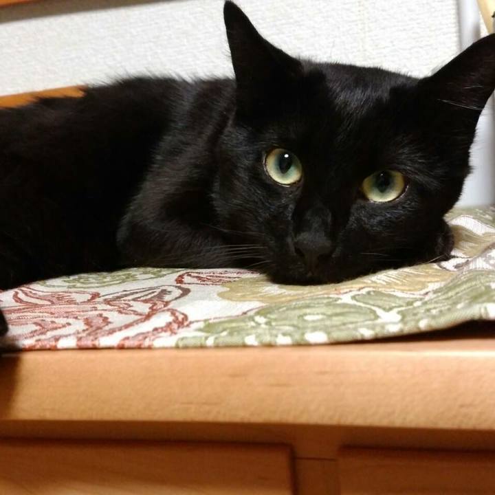 2a0c6df1 c168 45b2 aeee 372ee9fa672d