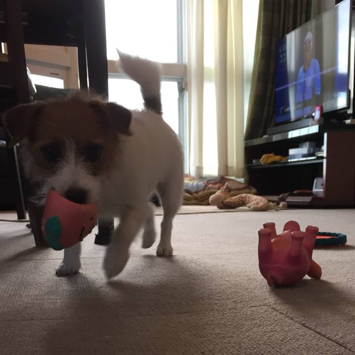 2a0c6e31 1bca 4524 b59c adf7e3b67be6