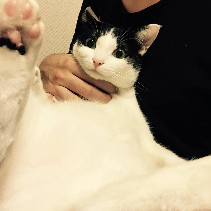 2a0cc19c 1cb3 469f 948a f7730e79c263