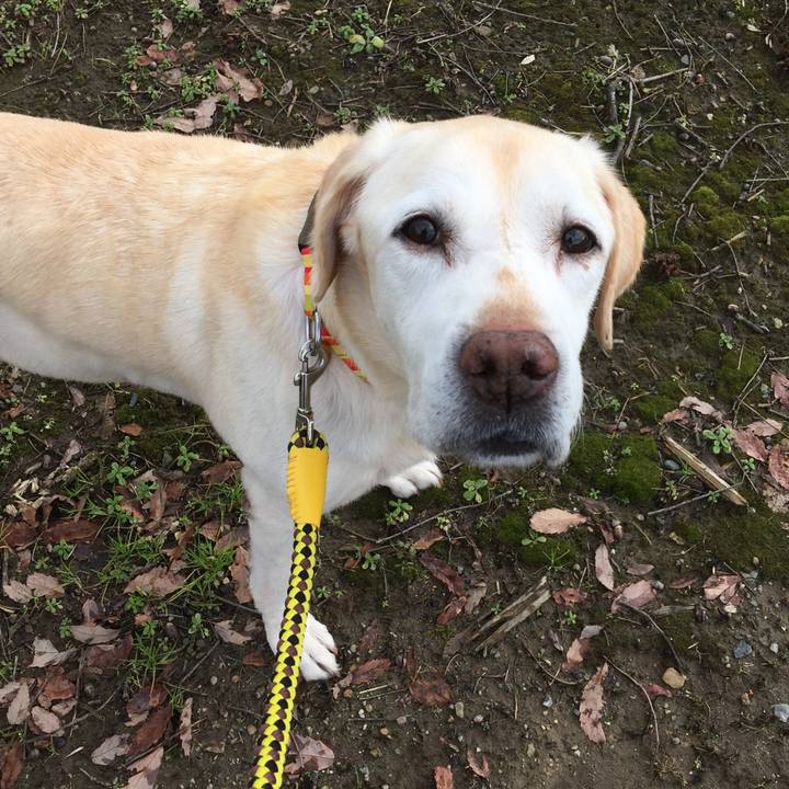 2a0ceeed 4f15 4c79 a708 c3e61e066eb7