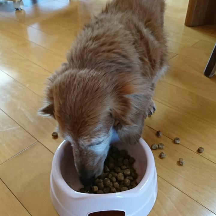 2a0da75f 9144 45eb 9f82 31bdb411a61f