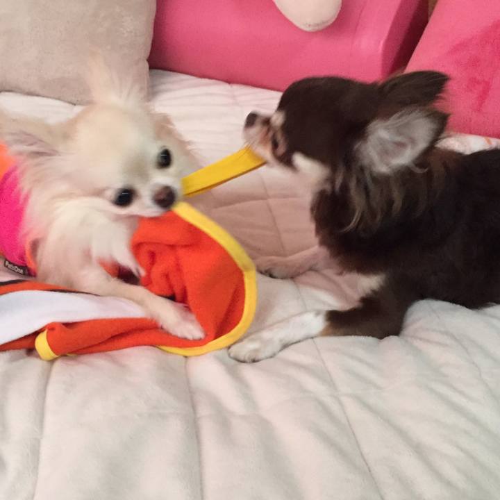 2a0ebaab a1ee 45f8 8303 ddebb862faf2