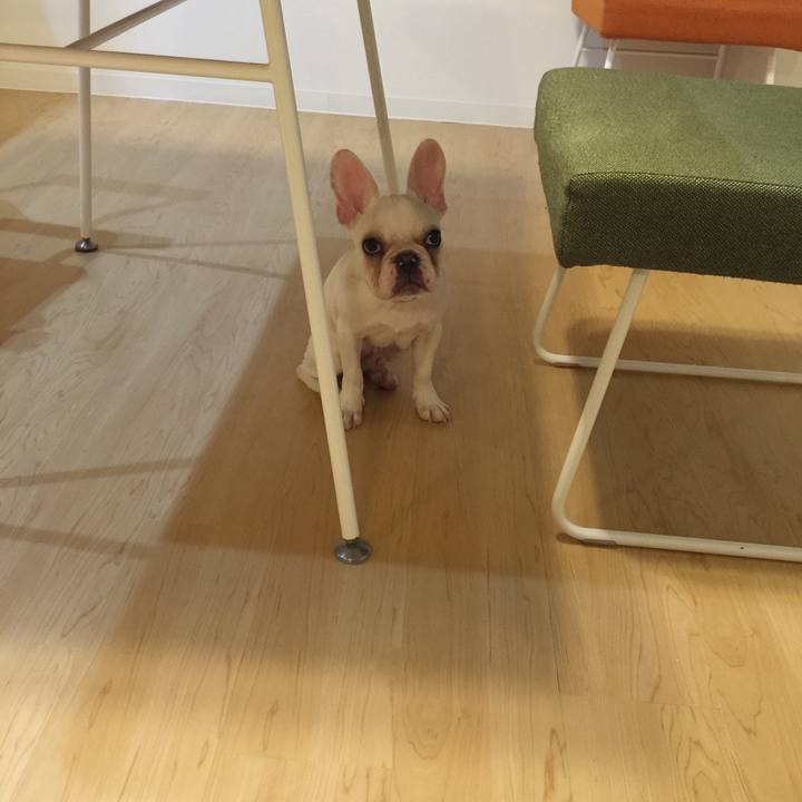 2a0ec15d e080 4d1e b6ce 55e198c84284